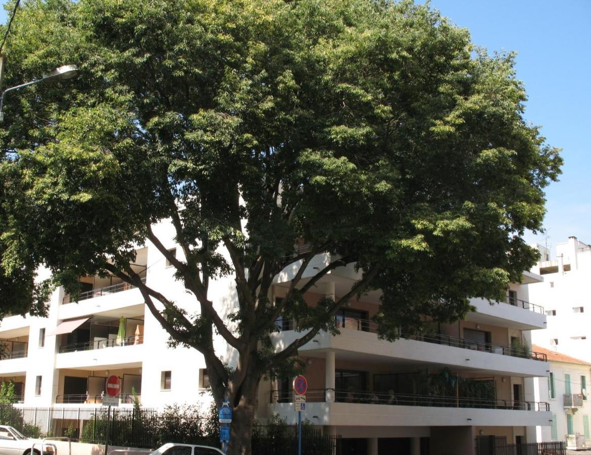 Spacious Luxury Apt, 12 Min Walk To Croisette Beach And Conf Centre Cannes Ngoại thất bức ảnh