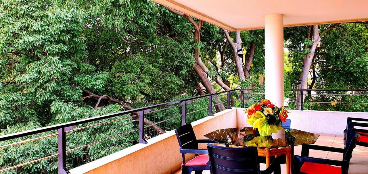 Spacious Luxury Apt, 12 Min Walk To Croisette Beach And Conf Centre Cannes Ngoại thất bức ảnh